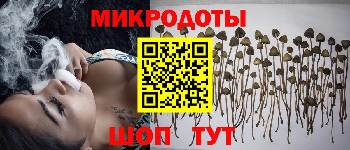 Галлюциногенные грибы MAGIC MUSHROOMS  Вход с VPN  Печора 