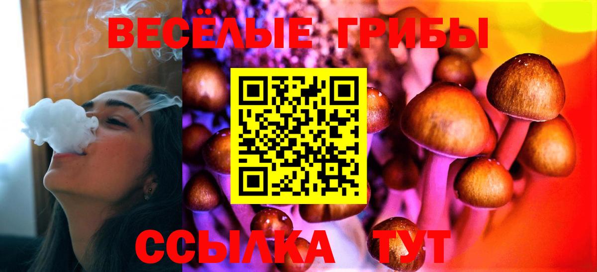 Псилоцибиновые грибы мицелий Печора